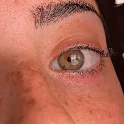 SheKween. ELENA Series – Magnetic Eyelashes