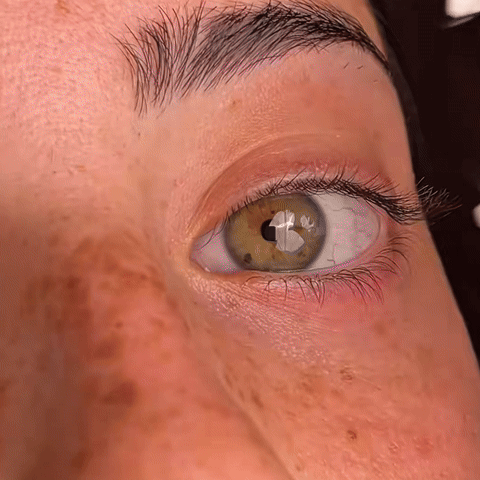 SheKween. ELENA Series – Magnetic Eyelashes